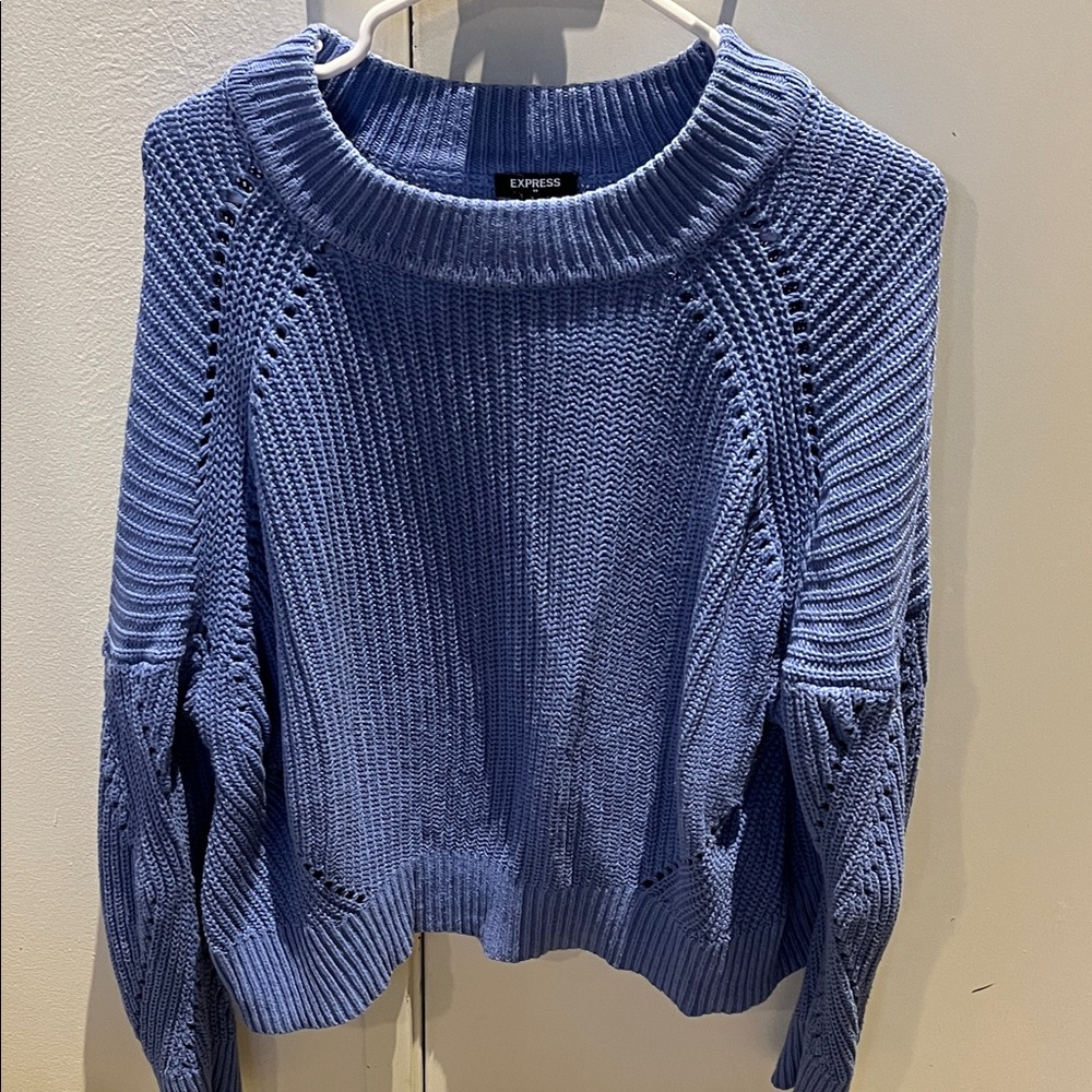 Express Women's Knit Sweater in Blue